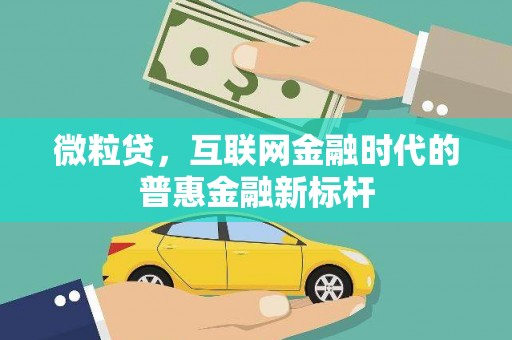 梅山微粒贷，互联网金融时代的普惠金融新标杆