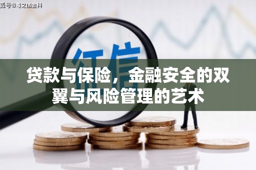 梅山贷款与保险，金融安全的双翼与风险管理的艺术