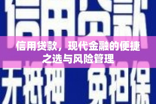 梅山信用贷款，现代金融的便捷之选与风险管理
