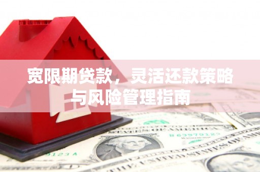 梅山宽限期贷款，灵活还款策略与风险管理指南