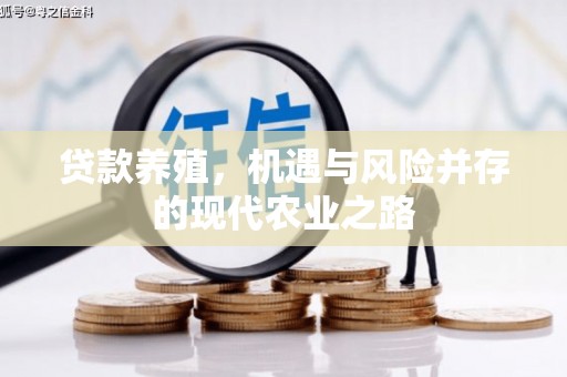 梅山贷款养殖，机遇与风险并存的现代农业之路