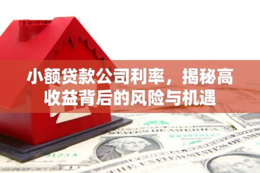 梅山小额贷款公司利率，揭秘高收益背后的风险与机遇