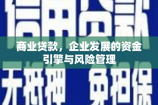 梅山商业贷款，企业发展的资金引擎与风险管理