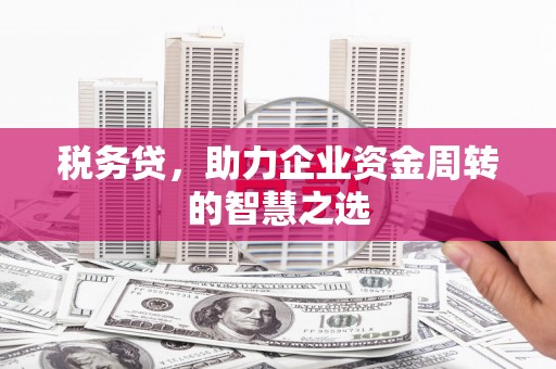 梅山税务贷，助力企业资金周转的智慧之选