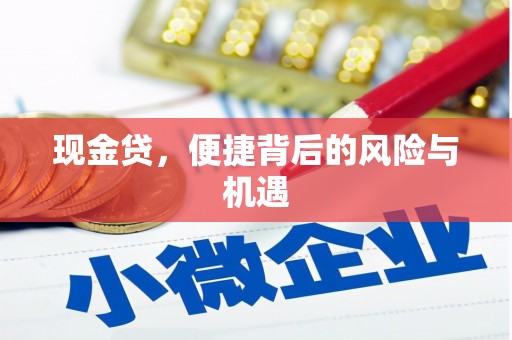 梅山现金贷，便捷背后的风险与机遇