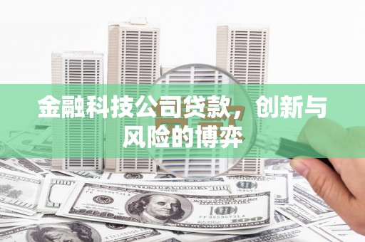 梅山金融科技公司贷款，创新与风险的博弈