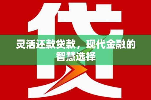 梅山灵活还款贷款，现代金融的智慧选择