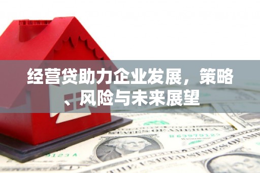 梅山经营贷助力企业发展，策略、风险与未来展望