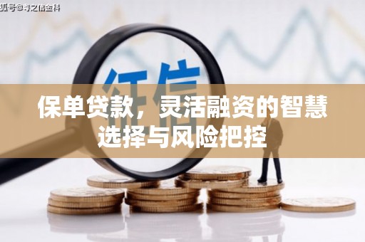 梅山保单贷款，灵活融资的智慧选择与风险把控