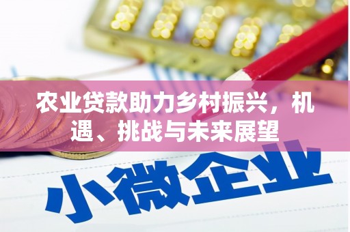 梅山农业贷款助力乡村振兴，机遇、挑战与未来展望