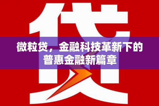 梅山微粒贷，金融科技革新下的普惠金融新篇章