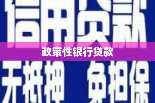 梅山政策性银行贷款