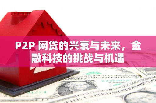 梅山P2P 网贷的兴衰与未来，金融科技的挑战与机遇