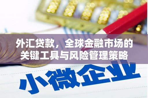 梅山外汇贷款，全球金融市场的关键工具与风险管理策略