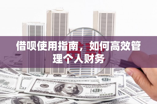 梅山借呗使用指南，如何高效管理个人财务