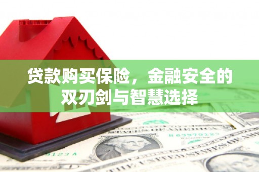 梅山贷款购买保险，金融安全的双刃剑与智慧选择