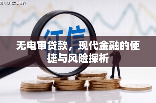 梅山无电审贷款，现代金融的便捷与风险探析