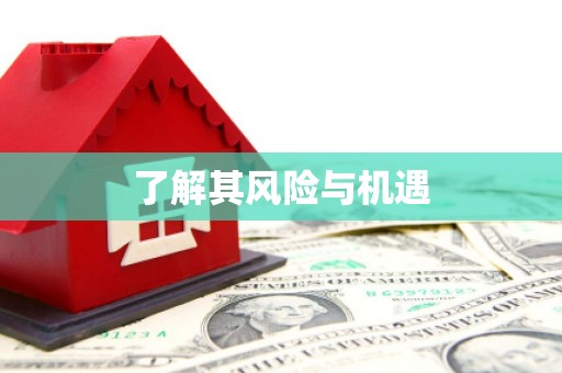 梅山了解其风险与机遇