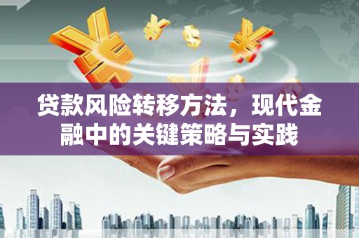 梅山贷款风险转移方法，现代金融中的关键策略与实践