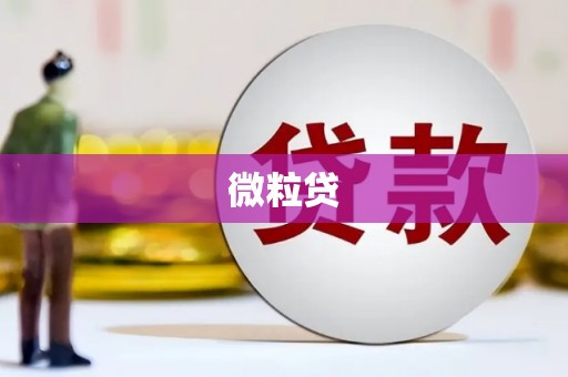 梅山微粒贷