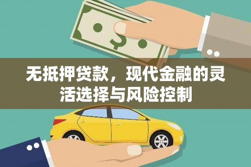 梅山无抵押贷款，现代金融的灵活选择与风险控制