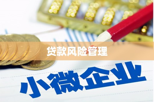 梅山贷款风险管理