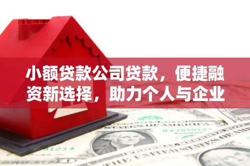 梅山小额贷款公司贷款，便捷融资新选择，助力个人与企业成长