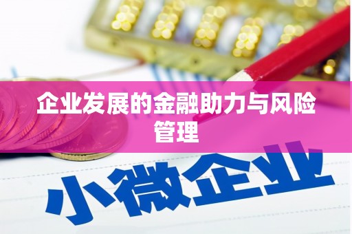 梅山企业发展的金融助力与风险管理