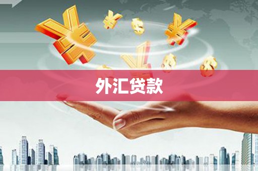 梅山外汇贷款