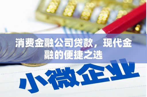 梅山消费金融公司贷款，现代金融的便捷之选