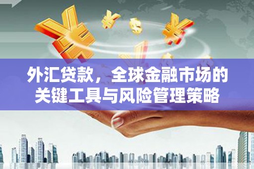 梅山外汇贷款，全球金融市场的关键工具与风险管理策略