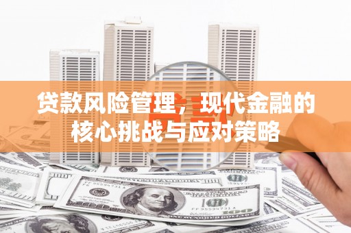 梅山贷款风险管理，现代金融的核心挑战与应对策略