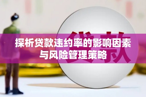 梅山探析贷款违约率的影响因素与风险管理策略