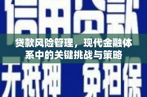 梅山贷款风险管理，现代金融体系中的关键挑战与策略