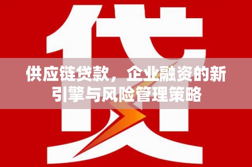梅山供应链贷款，企业融资的新引擎与风险管理策略