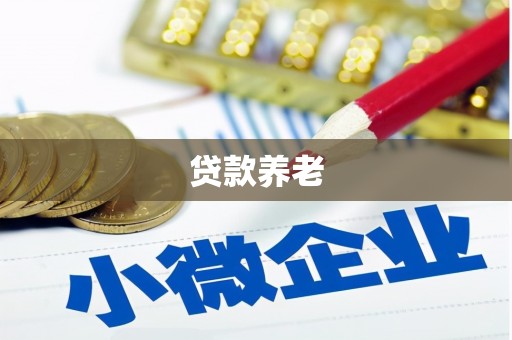 梅山贷款养老