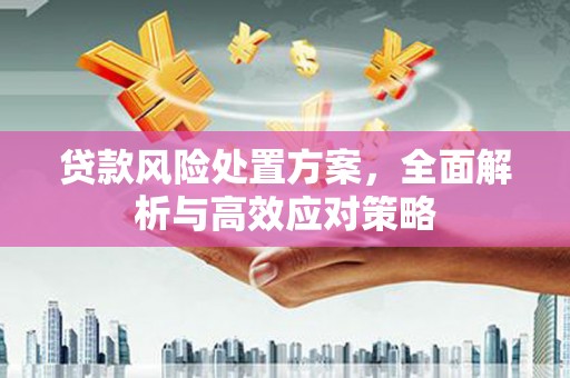 梅山贷款风险处置方案，全面解析与高效应对策略