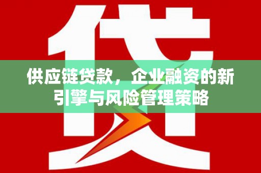 梅山供应链贷款，企业融资的新引擎与风险管理策略
