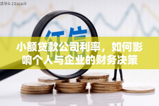 梅山小额贷款公司利率，如何影响个人与企业的财务决策