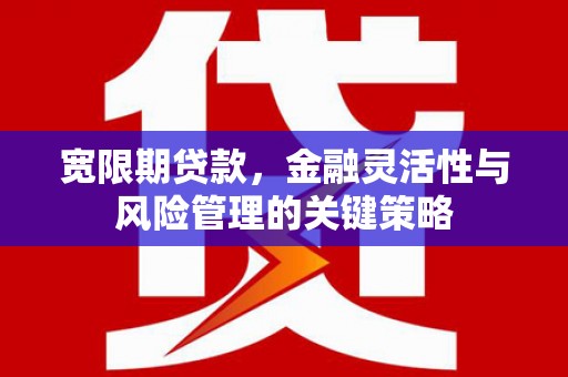 梅山宽限期贷款，金融灵活性与风险管理的关键策略