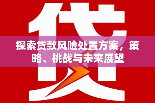 梅山探索贷款风险处置方案，策略、挑战与未来展望