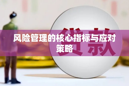 梅山风险管理的核心指标与应对策略