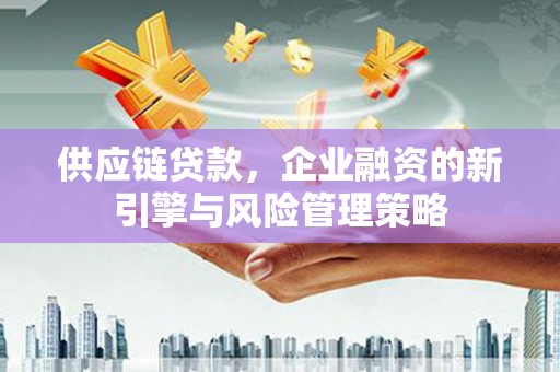 梅山供应链贷款，企业融资的新引擎与风险管理策略
