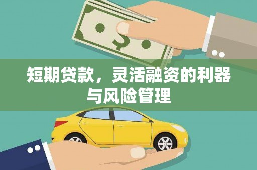 梅山短期贷款，灵活融资的利器与风险管理