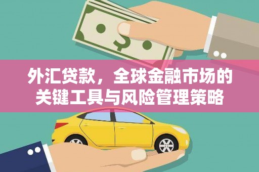 梅山外汇贷款，全球金融市场的关键工具与风险管理策略