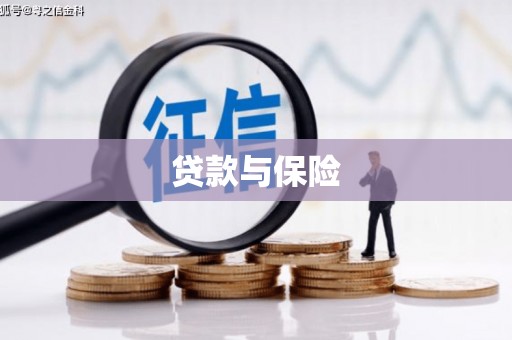 梅山贷款与保险