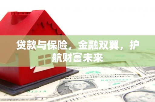 梅山贷款与保险，金融双翼，护航财富未来
