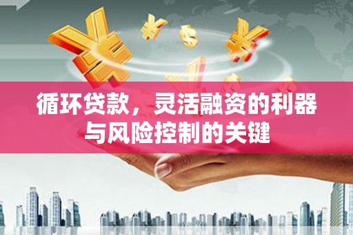梅山循环贷款，灵活融资的利器与风险控制的关键