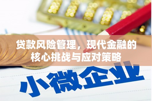 梅山贷款风险管理，现代金融的核心挑战与应对策略