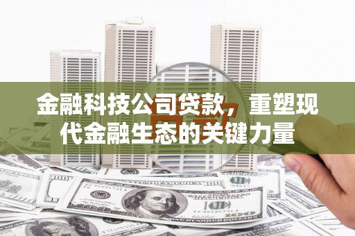 梅山金融科技公司贷款，重塑现代金融生态的关键力量